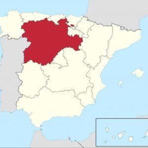 Base de Datos de Empresas con email en la Comunidad Autónoma de Castilla y León