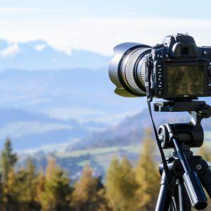 Base de datos del Empresas de Sector de Fotografia de Portugal
