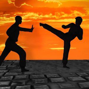 Base de Datos de Centros de Artes Marciales de Portugal